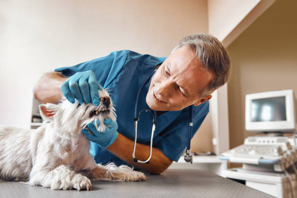 Best Dental Emergency Near Me  in Wellington, FL
